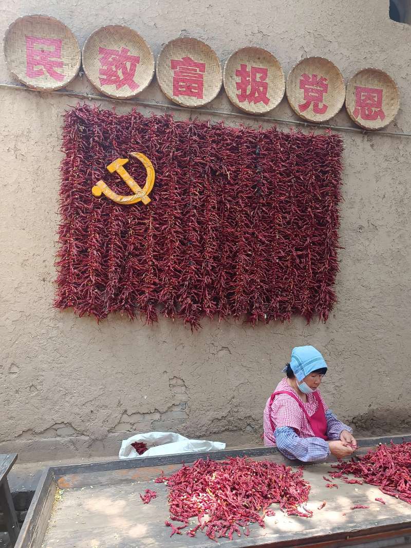 ̽Ѱ Ԭ塪ϢѧԺ нഫʵ߽ԬҴ