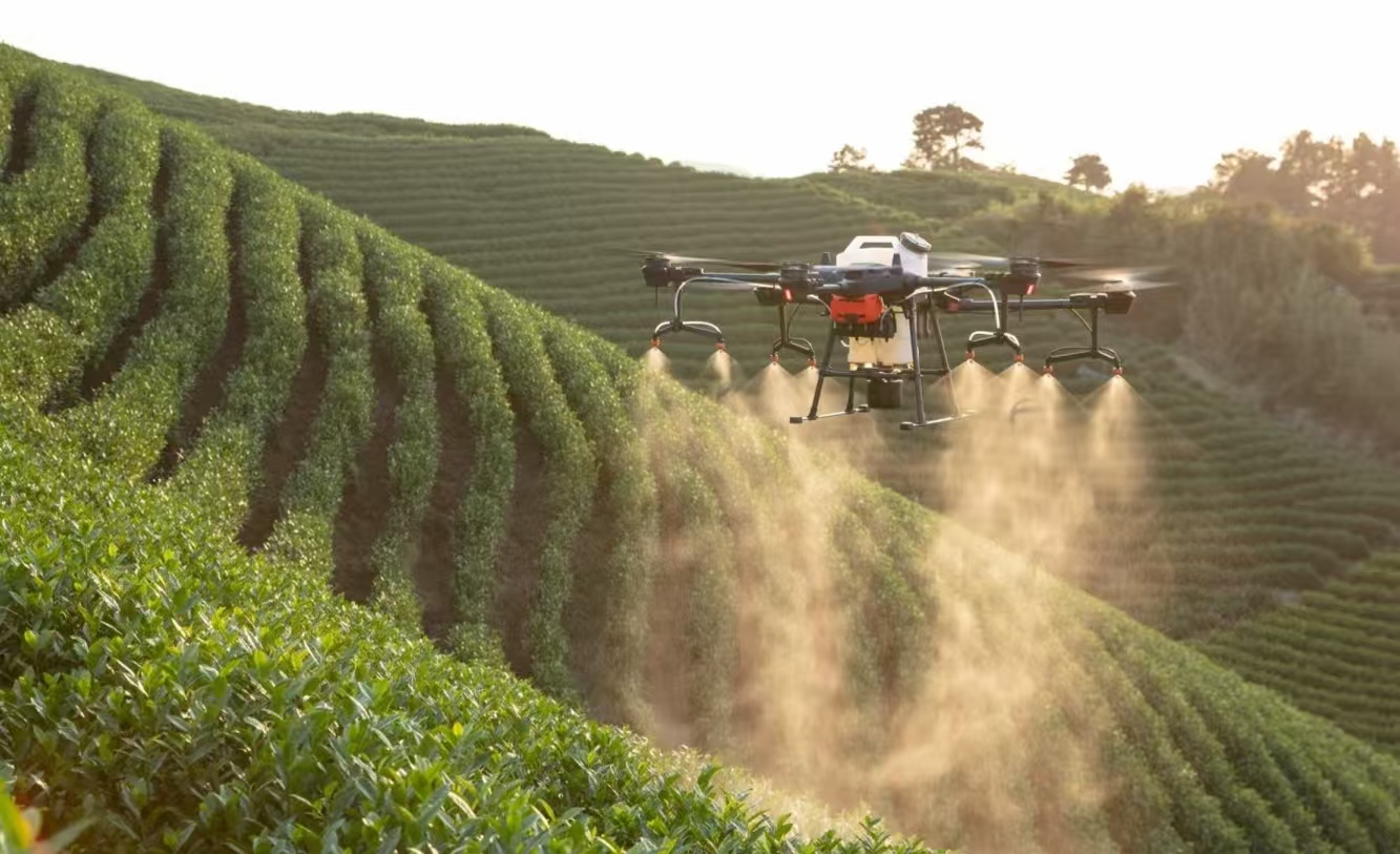 �ƶ��ʼ�̽ũ�� ����Ϊ�������� �����������Ŷӿ�չ�ǻ�ֲ������Ч�����ϵ���ʵ��