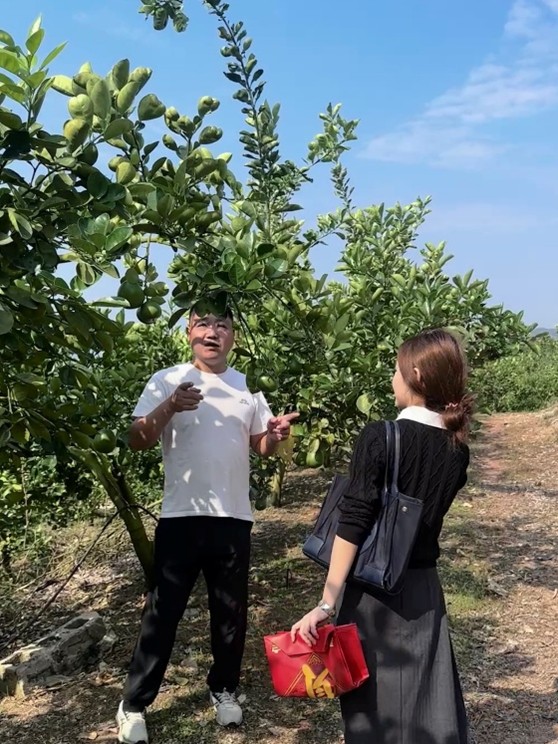 ��ͫ���ţ���ҩ����������̽Ѱ�߼�ֵũ����溦�����ƾ�֮��