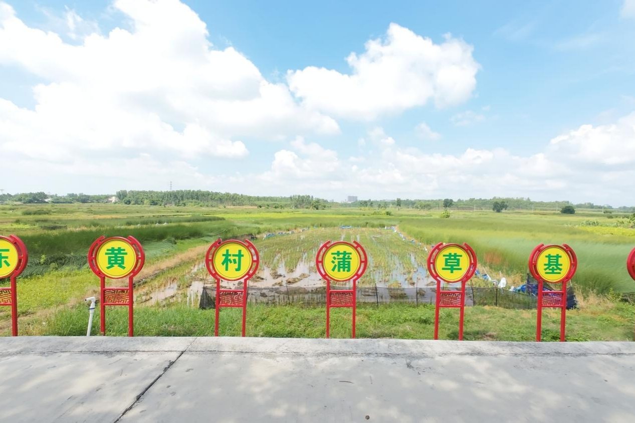 տ��ѧ�ӡ������硱���Ѳ����Σ���Լ����