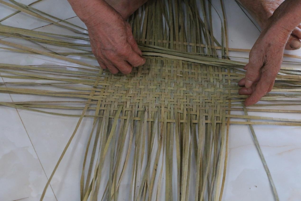 տ��ѧ�ӡ������硱��ʵ��¼�Σ����մ�н